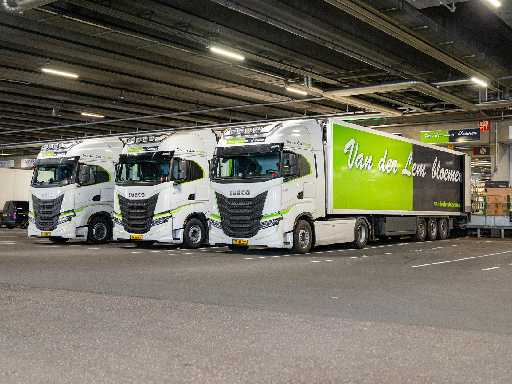 Van der Lem Bloemen gebruikt vier IVECO S-WAY trekkers